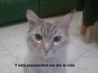 Y esta preciosidad me dio la vida
 