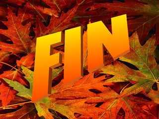 FIN 