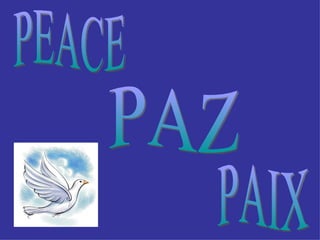PAZ PEACE PAIX 