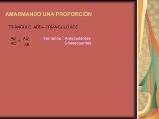 AMARMANDO UNA PROPORCIÓN TRIANGULO  ABD---TRIANGULO ACE AB AD AC AE = Términos : Antecedentes  Consecuentes 