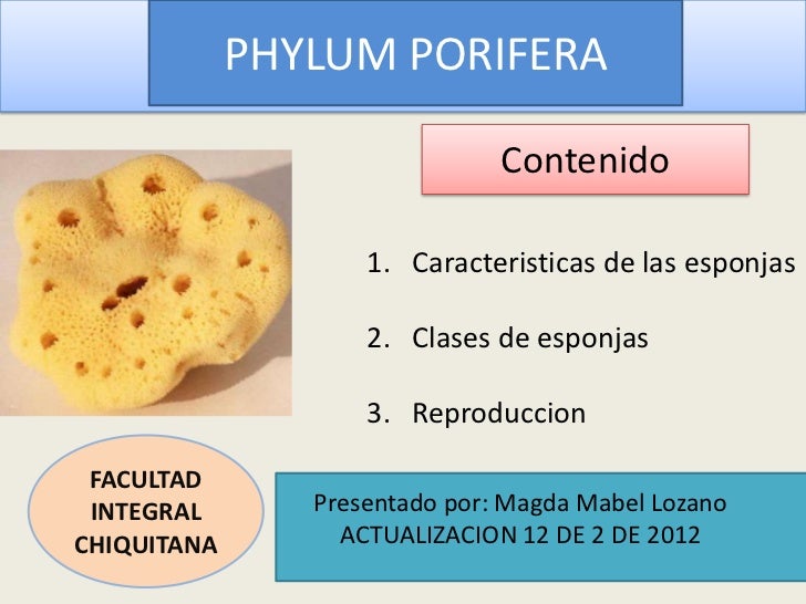 Presentación1 RESUMEN DE ESPONJAS Presentación1 RESUMEN DE ESPONJAS