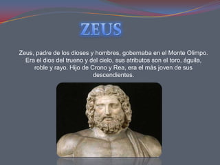 Zeus, padre de los dioses y hombres, gobernaba en el Monte Olimpo.
  Era el dios del trueno y del cielo, sus atributos son el toro, águila,
     roble y rayo. Hijo de Crono y Rea, era el más joven de sus
                            descendientes.
 