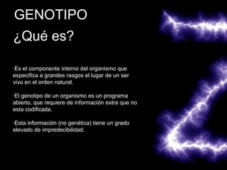 GENOTIPO
¿Qué es?

·Es el componente interno del organismo que
especifica a grandes rasgos el lugar de un ser
vivo en el orden natural.

·El genotipo de un organismo es un programa
abierto, que requiere de información extra que no
esta codificada.

·Esta información (no genética) tiene un grado
elevado de impredecibilidad.
 