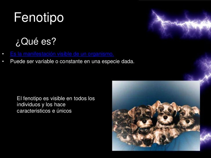 temas de powerpoint