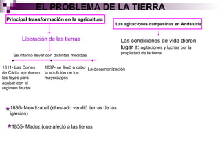 EL PROBLEMA DE LA TIERRA Principal transformación en la agricultura Liberación de las tierras Se intentó llevar con distintas medidas 1811- Las Cortes de Cádiz aprobaron las leyes para acabar con el régimen feudal 1837- se llevó a cabo la abolición de los mayorazgos La desamortización 1836- Mendizábal (el estado vendió tierras de las iglesias) 1855- Madoz (que afectó a las tierras Las agitaciones campesinas en Andalucía Las condiciones de vida dieron lugar a:  agitaciones y luchas por la propiedad de la tierra 