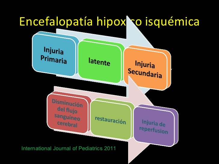 Asfixia Perinatal Fisiopatologia Pdf Asfixia Perinatal Fisiopatologia Pdf