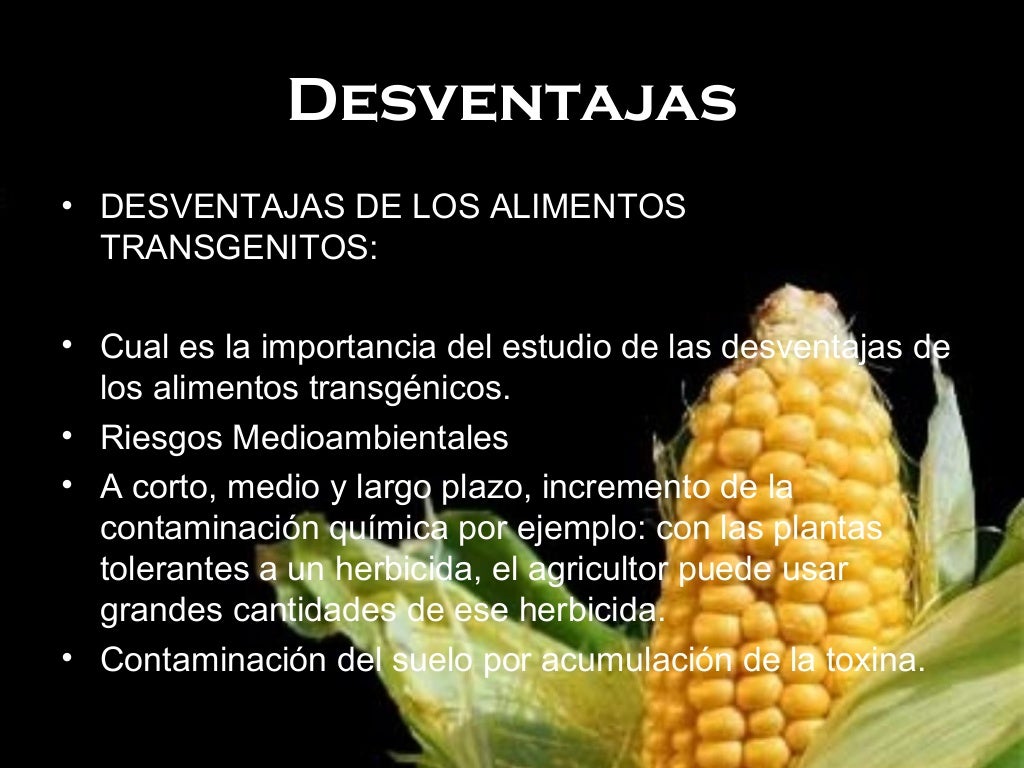 ventajas y desventajas de alimentos transgénicos