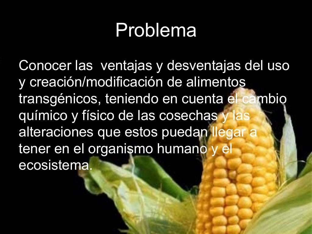 ventajas y desventajas de alimentos transgénicos