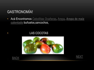 GASTRONOMÍA!
• Acá Encontramos Cebollitas Ocañeras, Arepa, Arepa de maíz
  calentado buñuelos,sancochos,


•                LAS COCOTAS




    BACK                                            NEXT
 