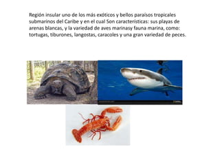Región insular uno de los más exóticos y bellos paraísos tropicales
submarinos del Caribe y en el cual Son características: sus playas de
arenas blancas, y la variedad de aves marinasy fauna marina, como:
tortugas, tiburones, langostas, caracoles y una gran variedad de peces.
 