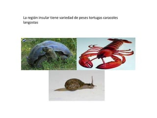 La región insular tiene variedad de peses tortugas caracoles
langostas
 