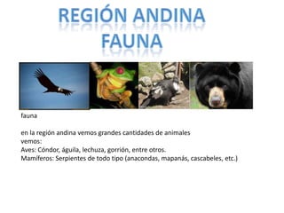 fauna

en la región andina vemos grandes cantidades de animales
vemos:
Aves: Cóndor, águila, lechuza, gorrión, entre otros.
Mamíferos: Serpientes de todo tipo (anacondas, mapanás, cascabeles, etc.)
 