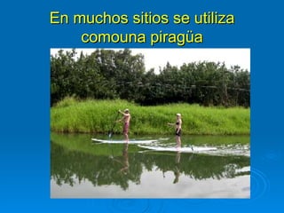En muchos sitios se utiliza
    comouna piragüa
 