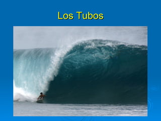 Los Tubos
 