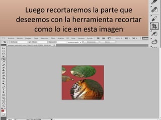 Luego recortaremos la parte que
deseemos con la herramienta recortar
     como lo ice en esta imagen
 