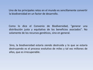Uno de los principales retos en el mundo es sencillamente convertir
la biodiversidad en un factor de desarrollo.



Como lo dice el Convenio de Biodiversidad, "generar una
distribución justa y equitativa de los beneficios asociados". No
solamente de los recursos genéticos, sino en general.



Sino, la biodiversidad estaría siendo destruida y lo que se estaría
destruyendo es el proceso evolutivo de miles y tal vez millones de
años, que es irrecuperable.
 
