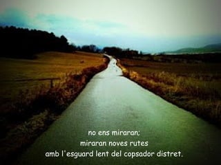 no ens miraran;
          miraran noves rutes
amb l'esguard lent del copsador distret.
 