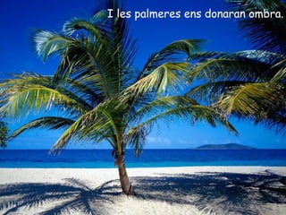 I les palmeres ens donaran ombra.
 