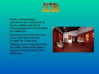 • Museu d’arqueologia
  submarina amb exposició de
  peces cedides pel Servei
  d’Arqueologia de la Generalitat
  de Catalunya.
• Exposició permanent de vins i
  caves amb Denominació
  d’origen de Catalunya.
• Rèplica d’una antiga farmàcia
  de poble i sales destinades a
  exposicions temporals d’arts
  plàstiques.
 