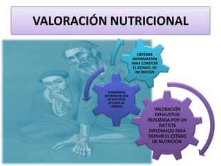 VALORACIÓN NUTRICIONAL

                               OBTENER
                           INFORMACIÓN
                           PARA CONOCER
                            EL ESTADO DE
                             NUTRICIÓN




            COMPRENDE
          INTERPRETACIÓN
            DE DATOS DE
            ESTUDIO DE
              CRIBADO
                                      VALORACIÓN
                                      EXHAUSTIVA
                                   REALIZADA POR UN
                                        DIETISTA
                                   DIPLOMADO PARA
                                   DEFINIR EL ESTADO
                                     DE NUTRICIÓN.
 