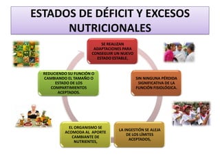 ESTADOS DE DÉFICIT Y EXCESOS
      NUTRICIONALES
                           SE REALIZAN
                        ADAPTACIONES PARA
                       CONSEGUIR UN NUEVO
                         ESTADO ESTABLE,


  REDUCIENDO SU FUNCIÓN O
  CAMBIANDO EL TAMAÑO O                     SIN NINGUNA PÉRDIDA
       ESTADO DE LOS                         SIGNIFICATIVA DE LA
     COMPARTIMIENTOS                        FUNCIÓN FISIOLÓGICA.
        ACEPTADOS.




             EL ORGANISMO SE
                                  LA INGESTIÓN SE ALEJA
           ACOMODA AL APORTE
                                      DE LOS LÍMITES
              CAMBIANTE DE
                                       ACEPTADOS,
                NUTRIENTES,
 
