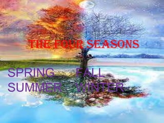THE FOUR SEASONS

SPRING   FALL
SUMMER   WINTER
 