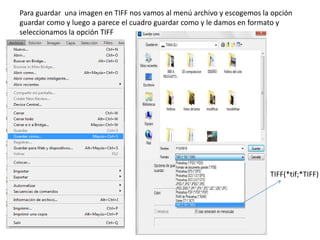 Para guardar una imagen en TIFF nos vamos al menú archivo y escogemos la opción
guardar como y luego a parece el cuadro guardar como y le damos en formato y
seleccionamos la opción TIFF




                                                                        TIFF(*tif;*TIFF)
 