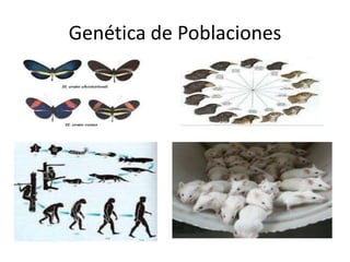 Genética de Poblaciones
 