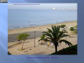 This work is licensed under a Creative Commons Attribution-ShareAlike 3.0 Unported License.
http://www.flickr.com/photos/escarabajo4/ / CC-BY-SA 3.0