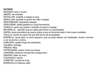 OUTROS
BOGADA: lavar a roupa.
ABOFÉ: de verdade.
ESFOLLAR: quitarlle a espiga á cana.
DEBULLAR: quitarlle os grans de millo a espiga.
DESCABEZAR: degraelas espigas.
GRAVUÑAR: afilala gadaña ou outra ferramenta.
CAROLO: parte que queda o quitarlle os grans a espiga.
BACENILLA: utensilio que se usaba para facer as necesidades.
ZAFRA: peza prismática de aceiro sobre a que os ferreiros baten o ferro para moldéalo.
VALILLA: coche da casa Fiat que tiña forma de escarabello.
BARRELO: cama para un neno pequeno, que se pode abanar con facilidade. Arrola o barrelo
a ver se dorme o cativo.
GARLOPA: cepillo longo de carpinteiro.
CALMEA: lostrega.
FREIXÓ: filloa.
ESTRICARSE: estirar moito os brazos.
LANGRÁN: perssoa moi grande e preguiceira.
ANAZAR: bater os ovos.
FOCHANCA: bache.
CAREPAS: monda da fruta.
BURRUALLO:malavoz,vello.
 