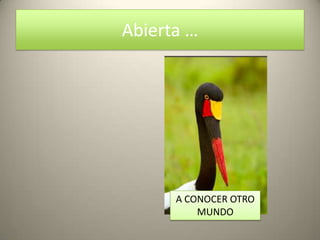 Abierta …




      A CONOCER OTRO
          MUNDO
 