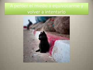 A perder el miedo a equivocarme y
        volver a intentarlo
 