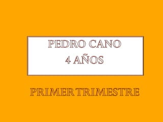 Primer trimestre 4 años