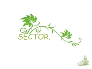SECTOR.
 