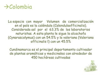Colombia

 La especie con mayor Volumen de comercialización
     en el país es la caléndula (Calendulaofficinalis).
   Considerada así por el 63.3% de los laboratorios
      naturistas. A esta planta le sigue la alcachofa
 (Cynarascolymus) con un 54.5% y la valeriana (Valeriana
                officinalis l) con un 45.5%

 Cundinamarca es el principal departamento cultivador
 de plantas aromáticas y medicinales con alrededor de
               450 hectáreas cultivadas
 
