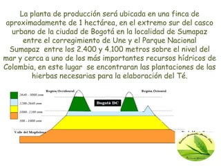La planta de producción será ubicada en una finca de
 aproximadamente de 1 hectárea, en el extremo sur del casco
   urbano de la ciudad de Bogotá en la localidad de Sumapaz
      entre el corregimiento de Une y el Parque Nacional
  Sumapaz entre los 2.400 y 4.100 metros sobre el nivel del
mar y cerca a uno de los más importantes recursos hídricos de
Colombia, en este lugar se encontraran las plantaciones de las
        hierbas necesarias para la elaboración del Té.
 