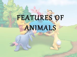 FEATURES OF
  ANIMALS
 