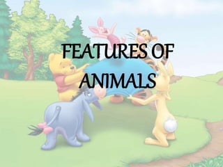 FEATURES OF
ANIMALS
 