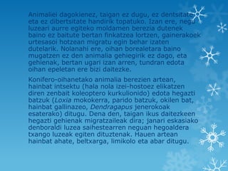 Animaliei dagokienez, taigan ez dugu, ez dentsitate
eta ez dibertsitate handirik topatuko. Izan ere, negu
luzeari aurre egiteko moldamen berezia dutenek
baino ez baitute bertan finkatzea lortzen, gainerakoek
urtesasoi hotzean migratu egin behar izaten
dutelarik. Nolanahi ere, oihan borealetara baino
mugatzen ez den animalia gehiegirik ez dago, eta
gehienak, bertan ugari izan arren, tundran edota
oihan epeletan ere bizi daitezke.
Konifero-oihanetako animalia berezien artean,
hainbat intsektu (hala nola izei-hostoez elikatzen
diren zenbait koleoptero kurkulionido) edota hegazti
batzuk (Loxia mokokerra, parido batzuk, okilen bat,
hainbat gallinazeo, Dendragapus jenerokoak
esaterako) ditugu. Dena den, taigan ikus daitezkeen
hegazti gehienak migratzaileak dira; janari eskasiako
denboraldi luzea saihestearren neguan hegoaldera
txango luzeak egiten dituztenak. Hauen artean
hainbat ahate, beltxarga, limikolo eta abar ditugu.
 