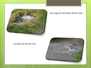 Las aguas hervidas de los ríos.




La basura de los ríos.
 