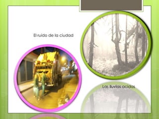 El ruido de la ciudad




                        Las lluvias acidas
 