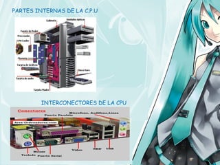 PARTES INTERNAS DE LA C.P.U




         INTERCONECTORES DE LA CPU
 