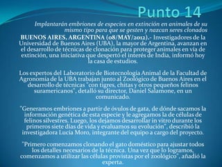 Implantarán embriones de especies en extinción en animales de su
                  mismo tipo para que se gesten y nazcan seres clonados
BUENOS AIRES, ARGENTINA (08/MAY/2012).- Investigadores de la
Universidad de Buenos Aires (UBA), la mayor de Argentina, avanzan en
el desarrollo de técnicas de clonación para proteger animales en vía de
extinción, una iniciativa que despertó el interés de India, informó hoy
                           la casa de estudios.
Los expertos del Laboratorio de Biotecnología Animal de la Facultad de
Agronomía de la UBA trabajan junto al Zoológico de Buenos Aires en el
   desarrollo de técnicas "con tigres, chitas y otros pequeños felinos
     suramericanos", detalló su director, Daniel Salamone, en un
                             comunicado.
"Generamos embriones a partir de óvulos de gata, de dónde sacamos la
  información genética de esta especie y le agregamos la de células de
  felinos silvestres. Luego, los dejamos desarrollar in vitro durante los
   primeros siete días de vida y evaluamos su evolución", describió la
 investigadora Lucía Moro, integrante del equipo a cargo del proyecto.
 "Primero comenzamos clonando el gato doméstico para ajustar todos
     los detalles necesarios de la técnica. Una vez que lo logramos,
comenzamos a utilizar las células provistas por el zoológico", añadió la
                                 experta.
 