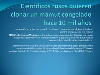 La intención sería insertar genes del prehistórico mamut en una elefante actual que
                                                      gestará, se espera, una cría mamut
MOSCÚ, RUSIA (14/MAR/2012).- Científicos rusos anunciaron hoy los planes de clonar
   un ejemplar prehistórico de mamut que estuvo congelado durante 10 mil años en el
                                          territorio de la república siberiana de Yakutia.

  "Queremos llevar a cabo una clonación somática, al insertar el material genético de un
       mamut que vivió hace miles de años en las células de una elefanta actual", dijo un
portavoz Instituto de Ecología Aplicada (IEA) de Siberia a la agencia oficial RIA-Nóvosti.
 