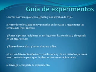 1.Tomar dos vasos platicos, algodón y dos semillas de frijol.

2.Humedecer los algodones y ponerlos en los vasos y luego poner las
semillas de frijol adentro.

3.Poner el primer recipiente en un lugar con luz continua y el segundo
en un lugar oscuro.

4.Tomar datos cada 24 horas durante 7 días.

5.Con los datos obtenidos saco conclusiones y da un método que creas
mas conveniente para que la planta crezca mas rápidamente.

6. Divulga y comparte tu experimento.
 
