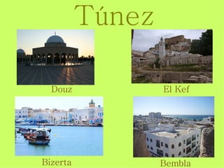 Túnez

  Douz            El Kef




Bizerta           Bembla
 