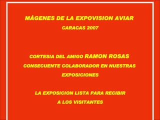 MÁGENES DE LA EXPOVISION AVIAR  CARACAS 2007 CORTESIA DEL AMIGO  RAMON ROSAS  CONSECUENTE COLABORADOR EN NUESTRAS  EXPOSICIONES LA EXPOSICION LISTA PARA RECIBIR A LOS VISITANTES 