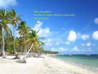 Sun vacation
Aruba el mejor destino para tus
vacaciones
 