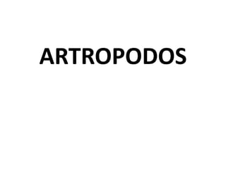 ARTROPODOS
 
