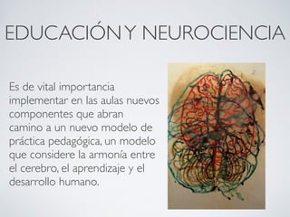 EDUCACIÓN Y NEUROCIENCIA

Es de vital importancia
implementar en las aulas nuevos
componentes que abran
camino a un nuevo modelo de
práctica pedagógica, un modelo
que considere la armonía entre
el cerebro, el aprendizaje y el
desarrollo humano.
 